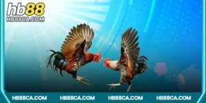 Giới thiệu về đá gà CPC1 HB88